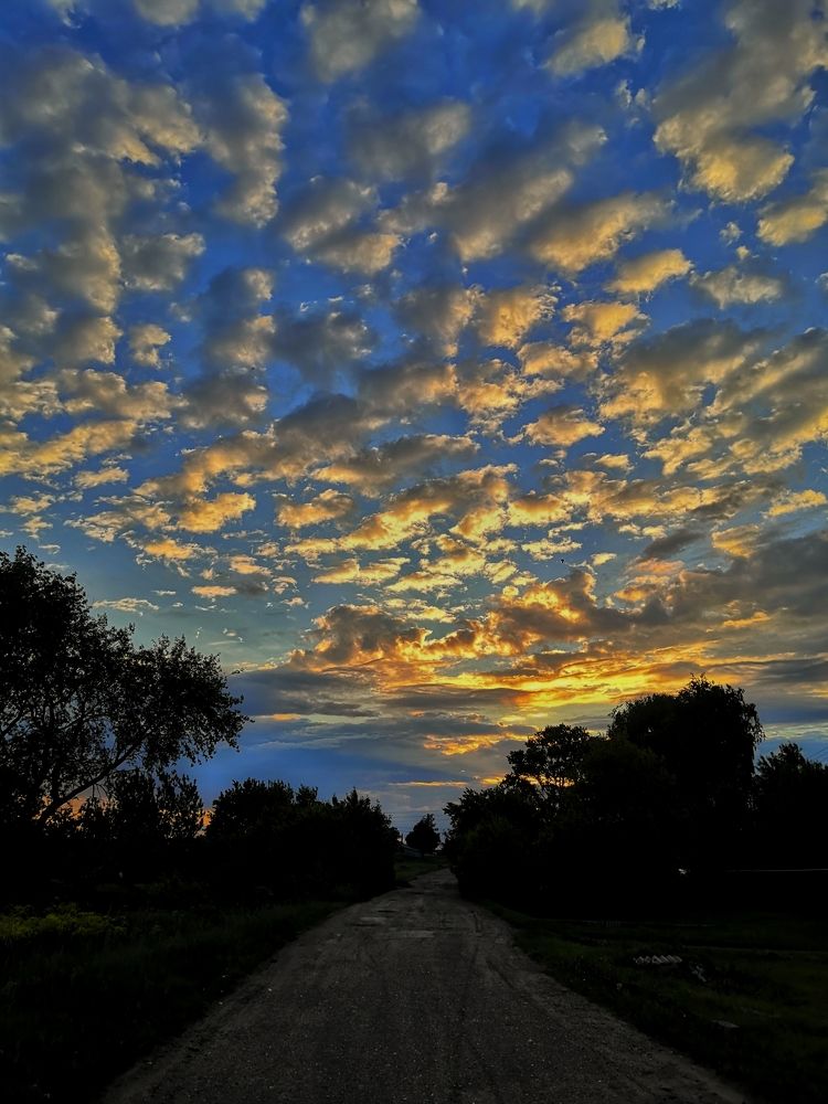 Photograph by Татьяна Муравкина