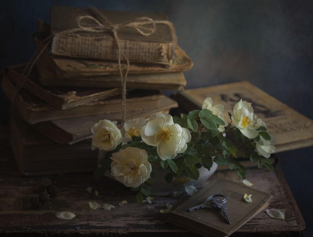 Белый шиповник