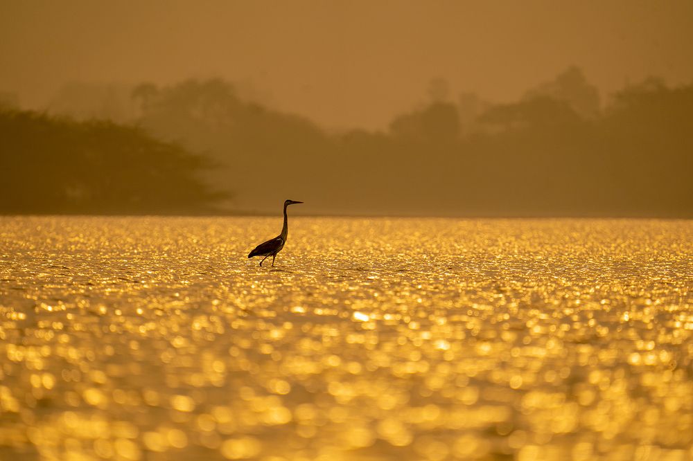 Photograph by Mahesh Subramanian G