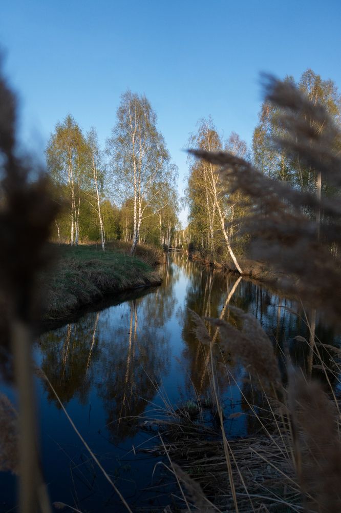 Фотография автора Кирилл Литовский