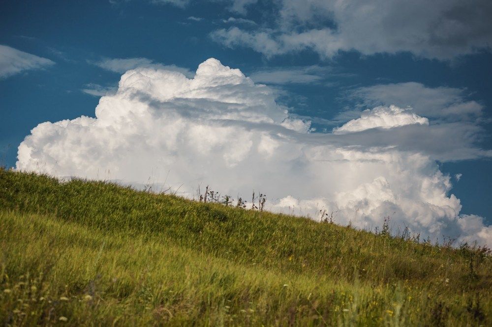 Photograph by Лидия Богданова