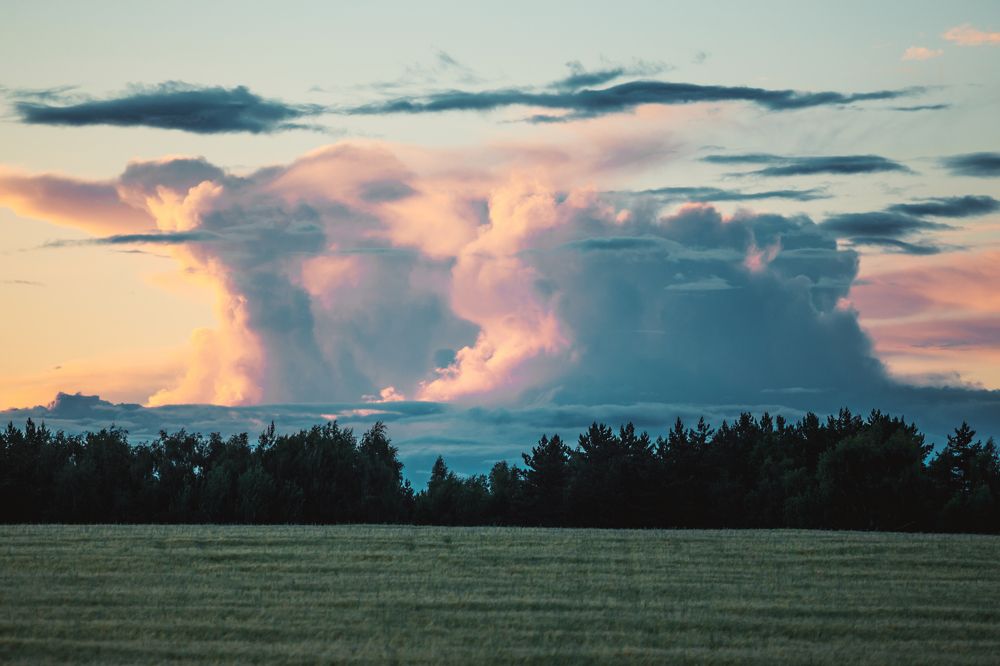 Photograph by Лидия Богданова