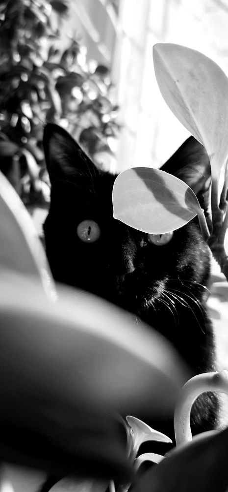 Photograph by Жанерке Хайбулда