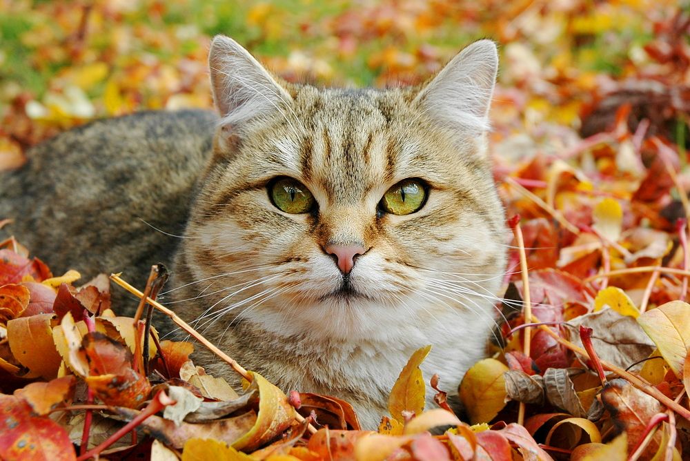 Photograph by Нелли Сидоренко