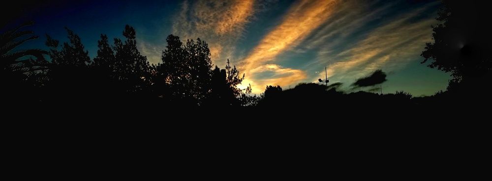 Photograph by Genesis Vivas