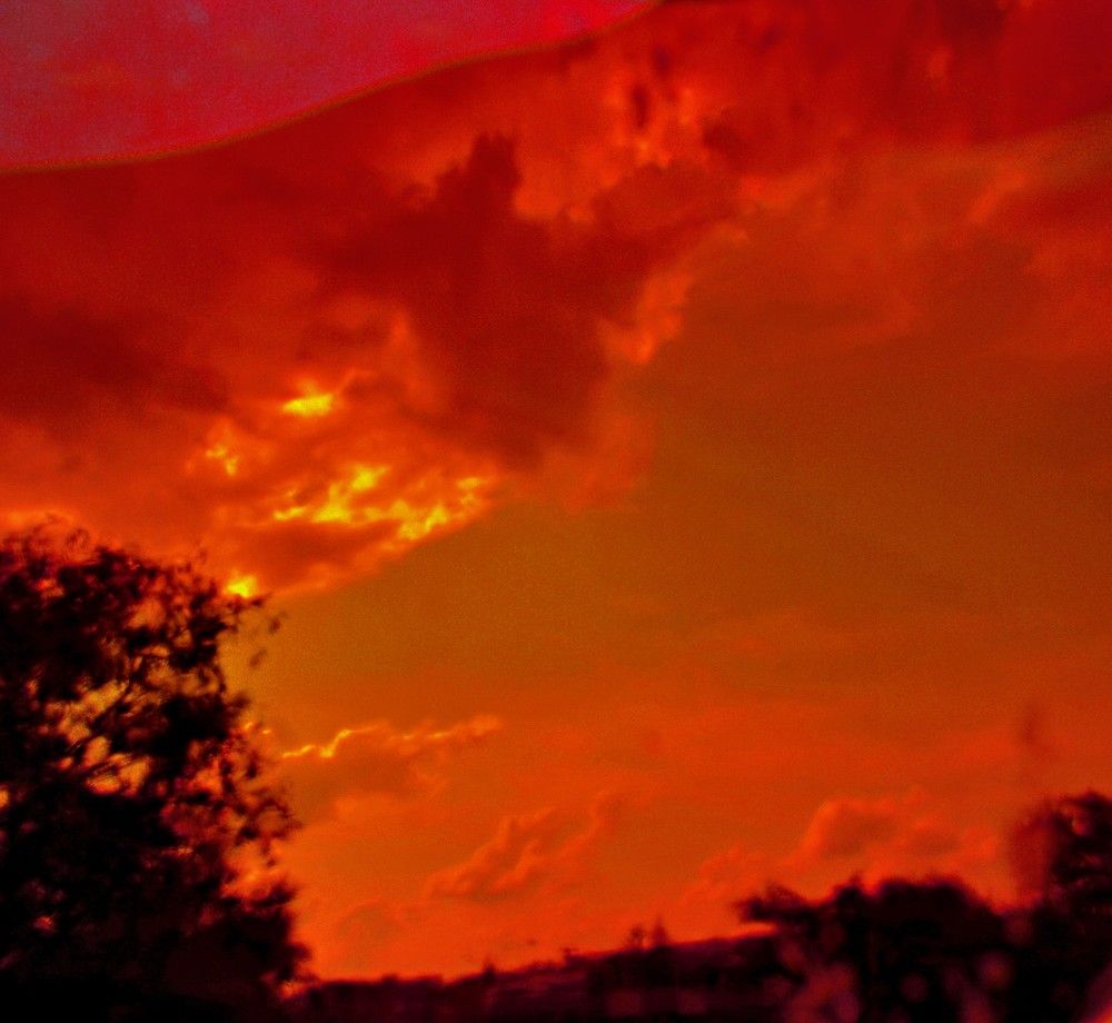 Photograph by Ольга Шевцова