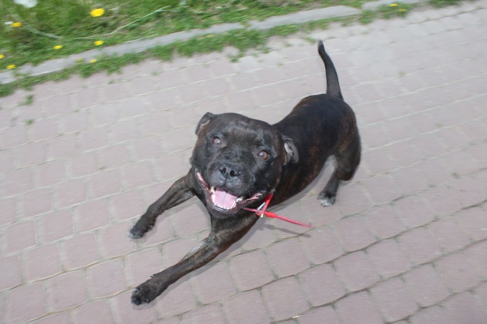 Photograph by Денис Птюшкин