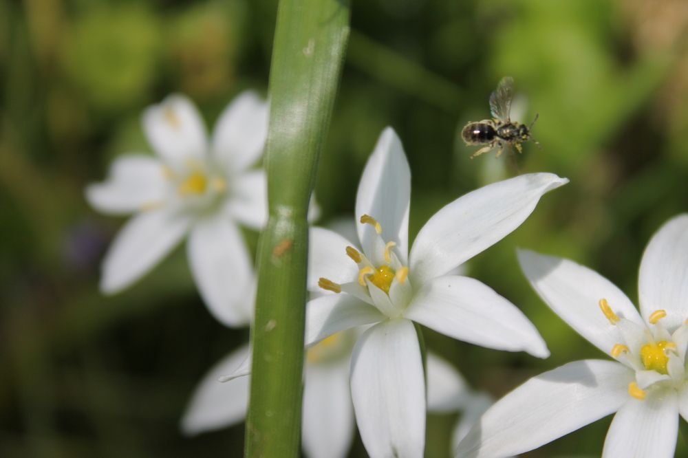 Photograph by Денис Птюшкин