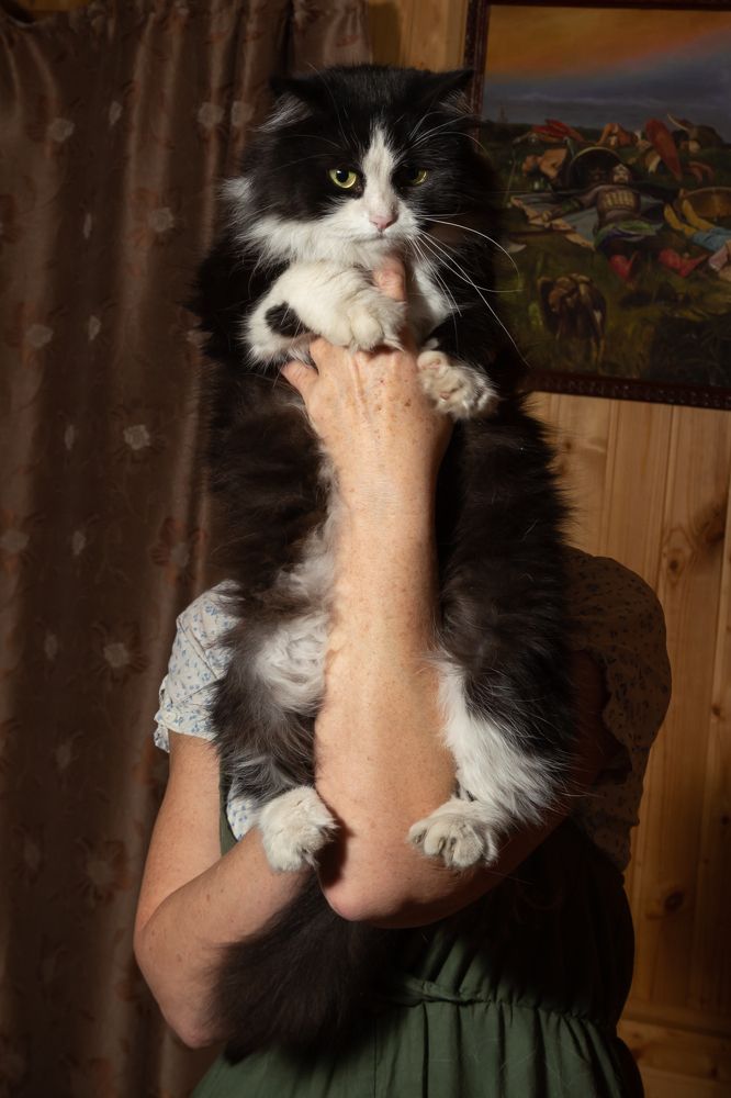 Photograph by Лидия Богданова