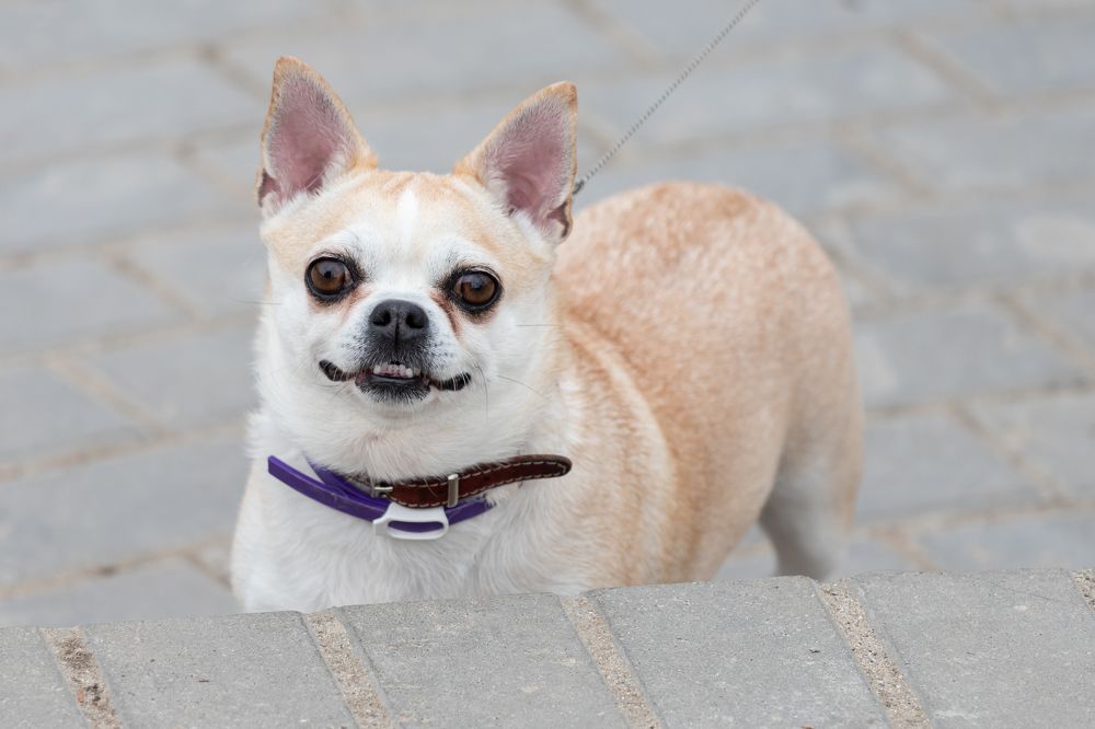 Photograph by Лидия Богданова