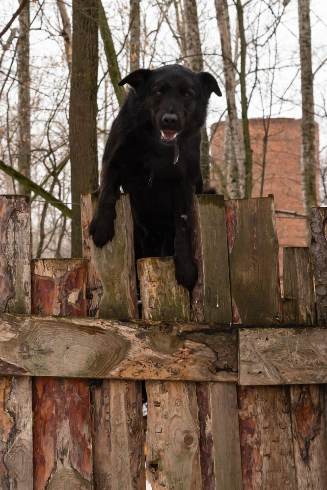 Photograph by Лидия Богданова