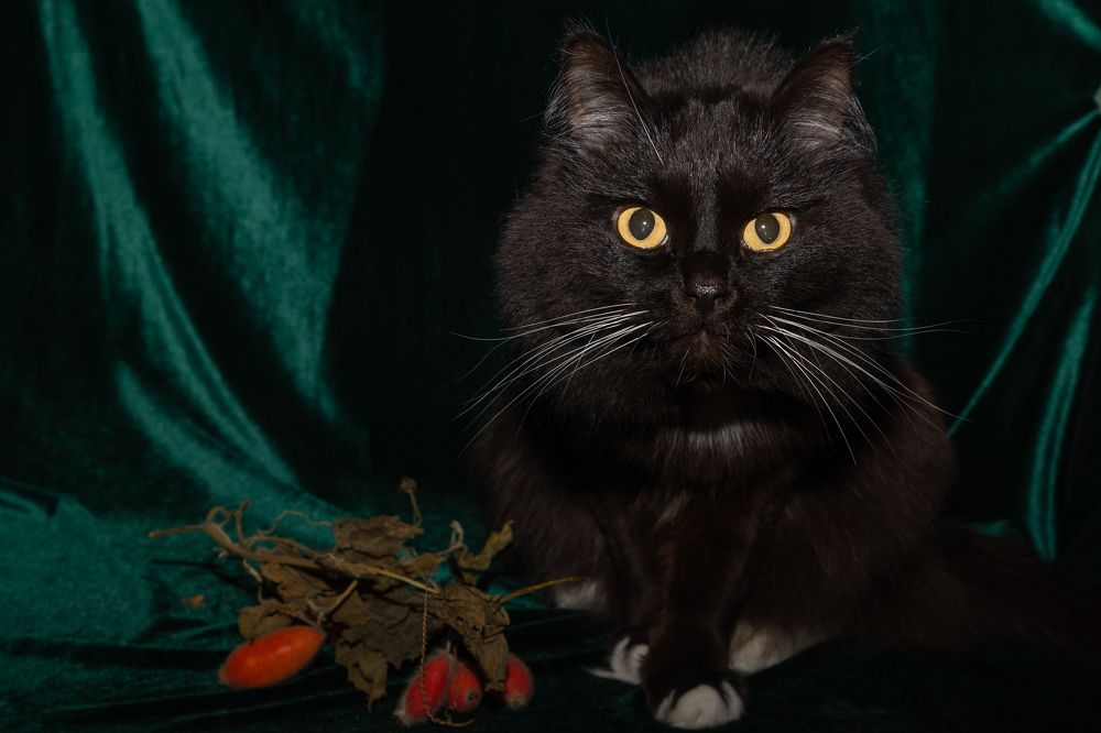 Photograph by Лидия Богданова