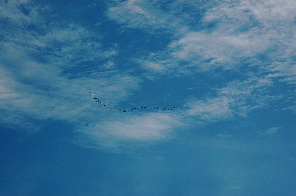 Photograph by Нелли Сидоренко