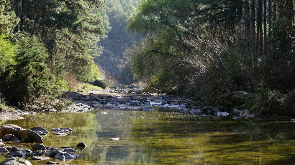 Photograph by Karina Elena Bergagna