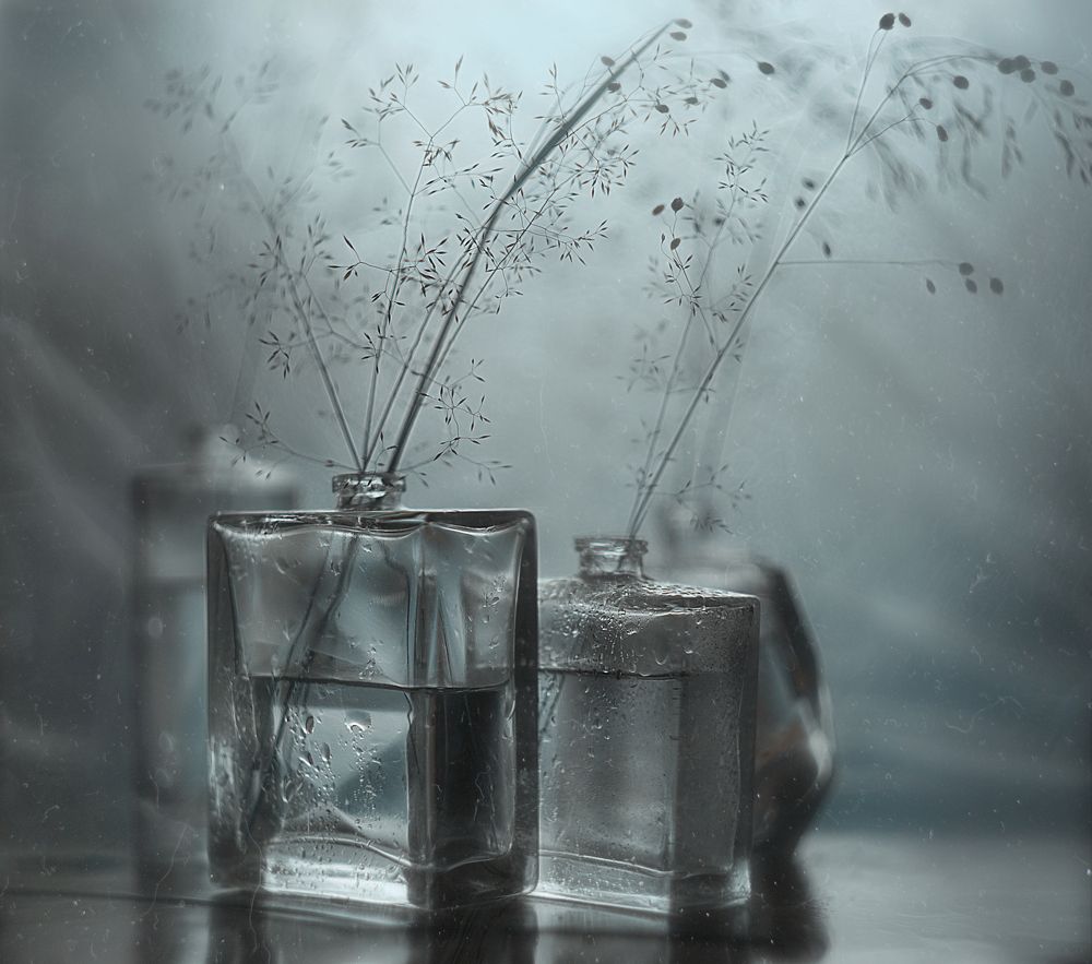 утро дождя*