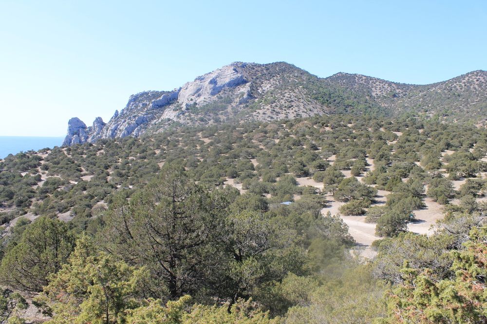 Photograph by Денис Птюшкин