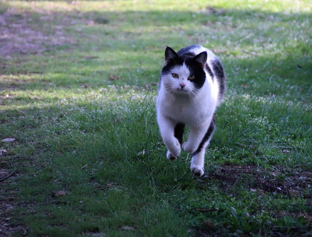 Photograph by Наталья Стальмакова