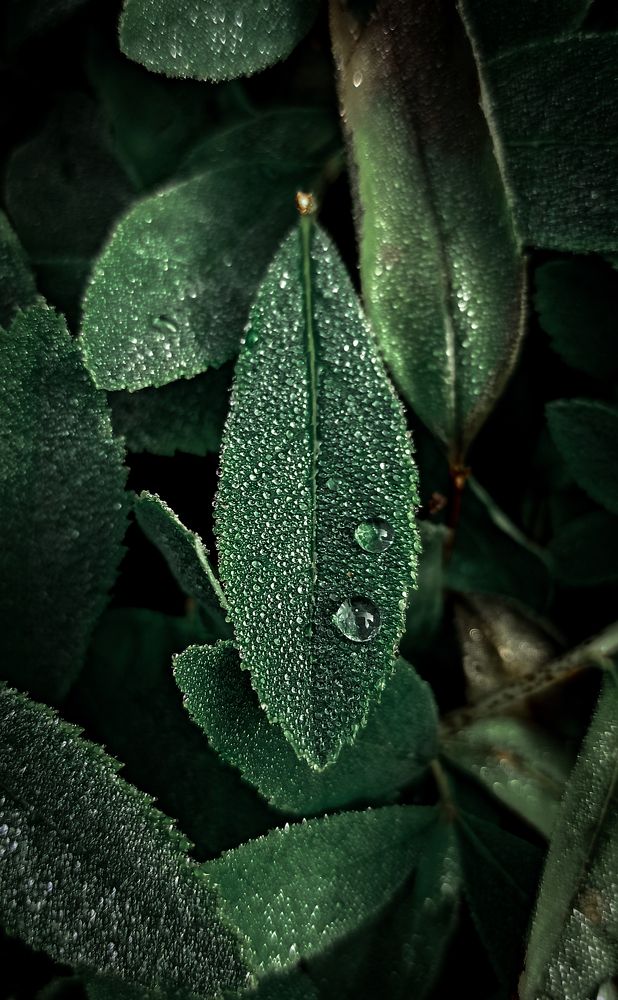 Фотография автора Алёна Подгорная