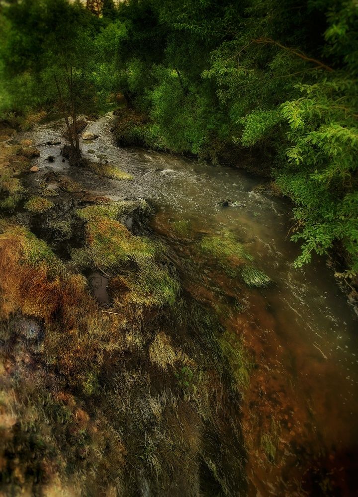 Photograph by Евгения Лушенкова