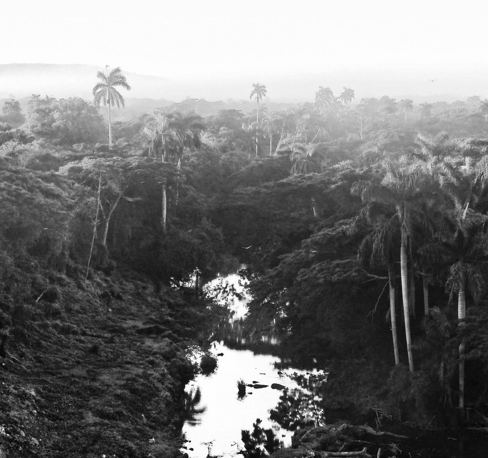 Photograph by Leonardo Ronquillo Hung