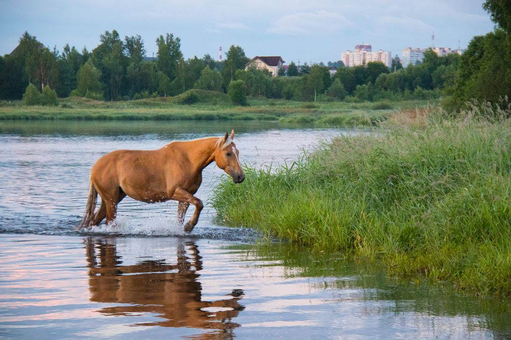 Photograph by Марина Кирпичникова