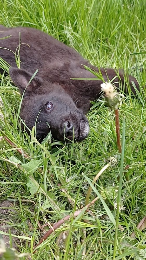 Photograph by Наталія Дронюк