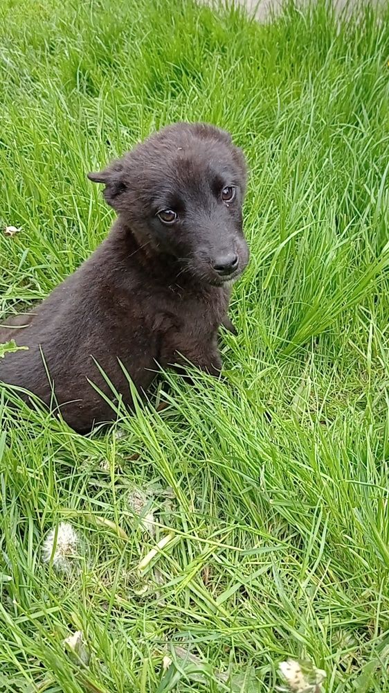 Photograph by Наталія Дронюк