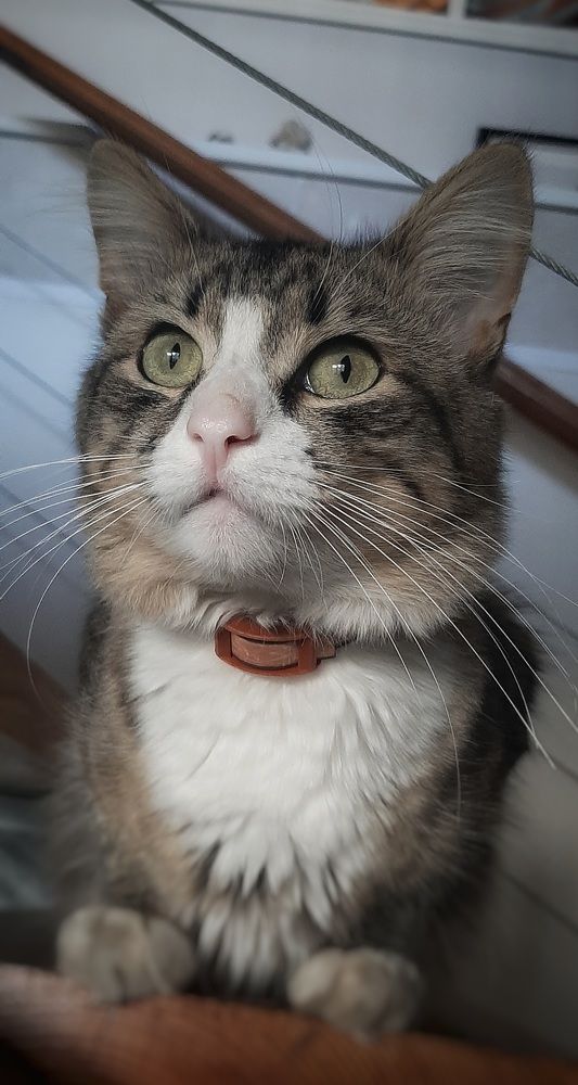 Photograph by Валентина Тагильцева