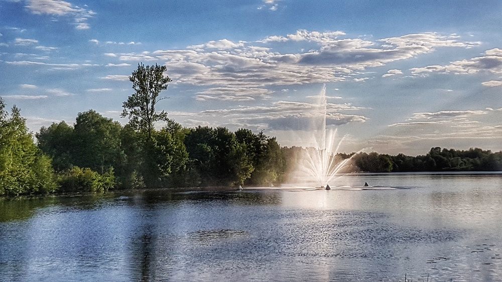 Фотография автора Дана Богинская