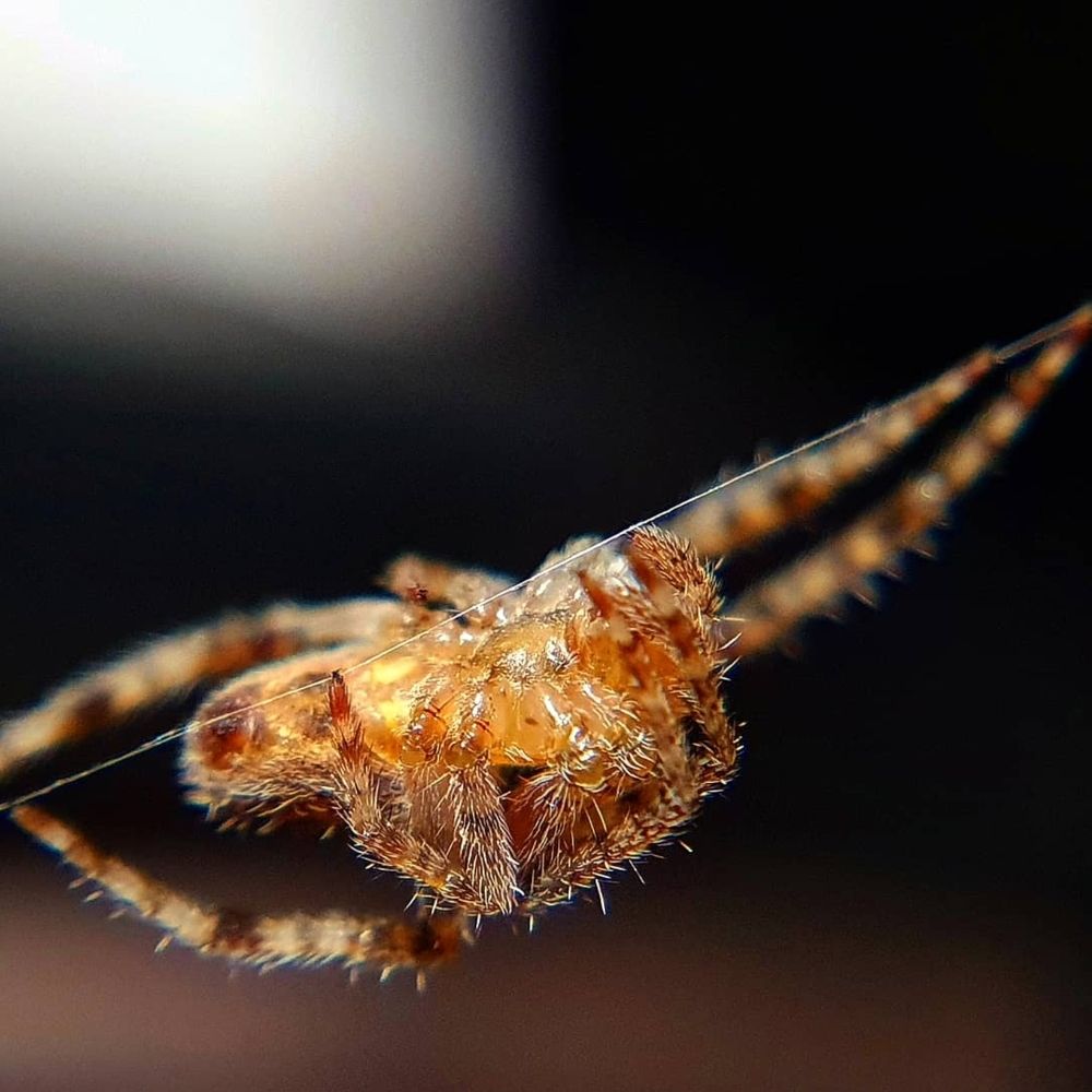 Photograph by jair stiven vargas duque