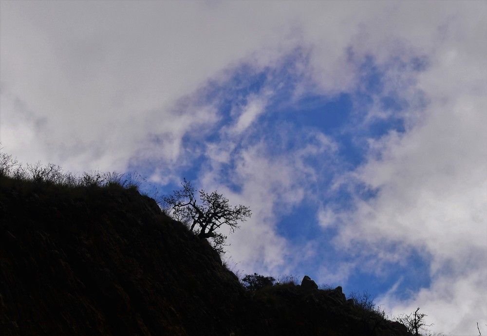 Photograph by Mageira Lia