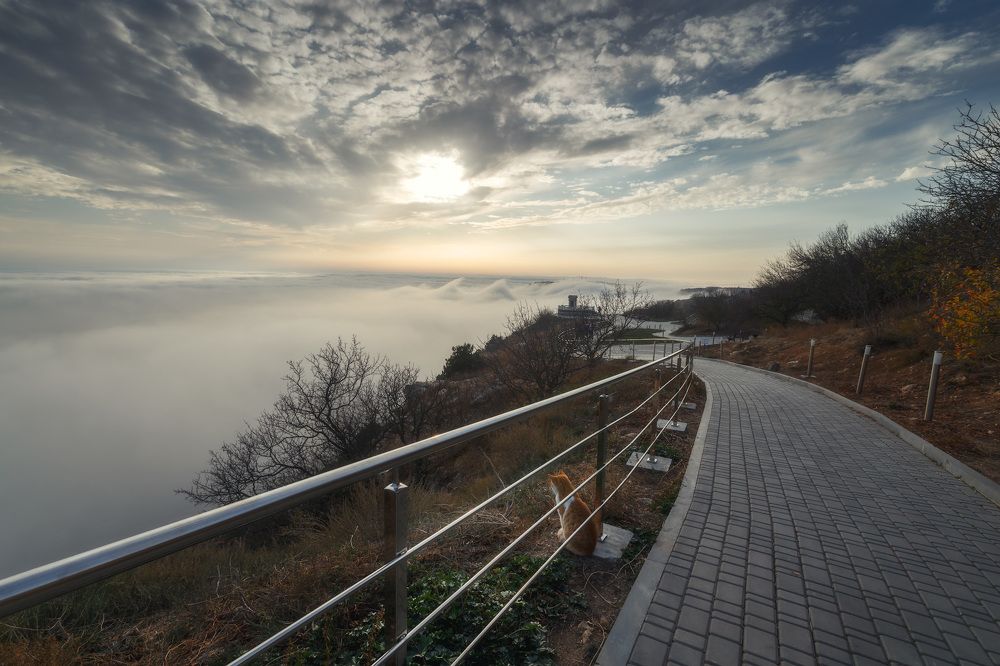 Параллельный мир...