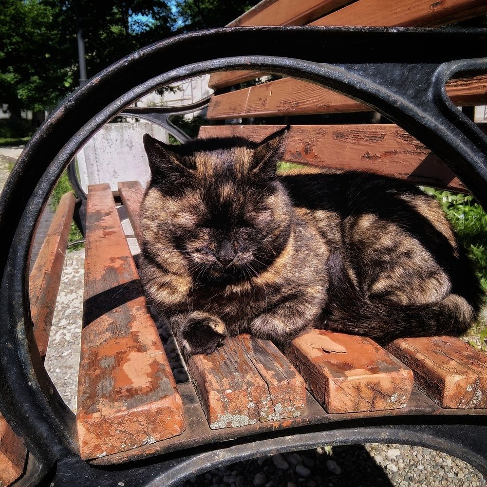 Photograph by Алексей Копылов