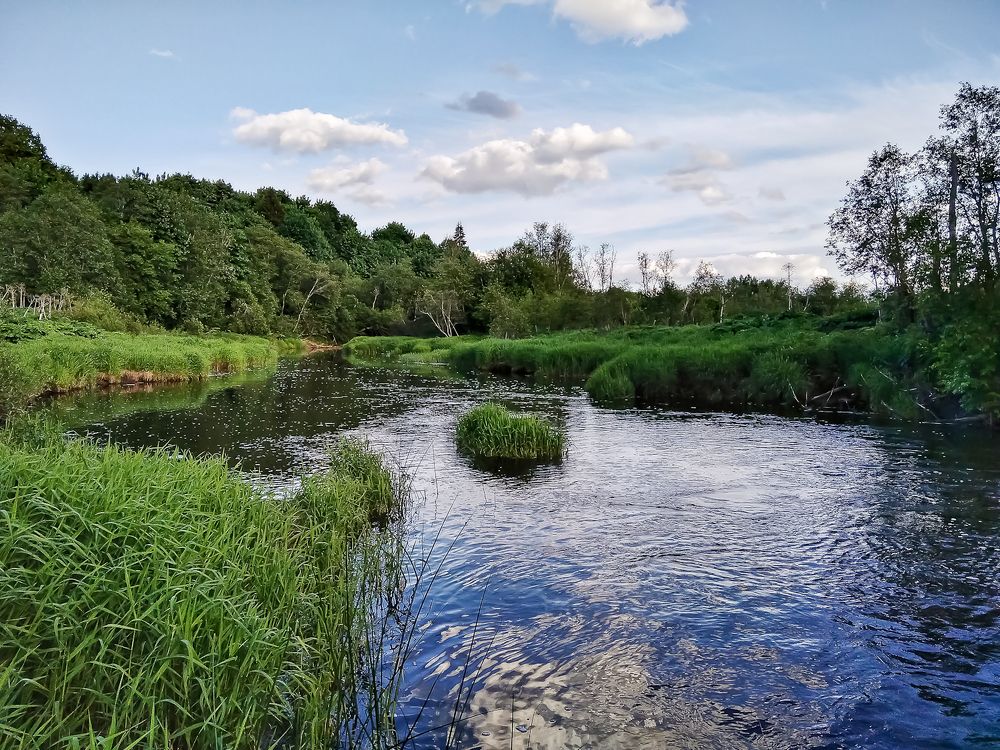 Река Озерна.