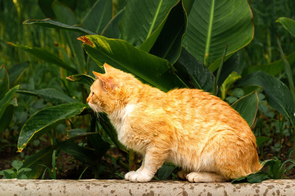 Photograph by Маргарита Таценко