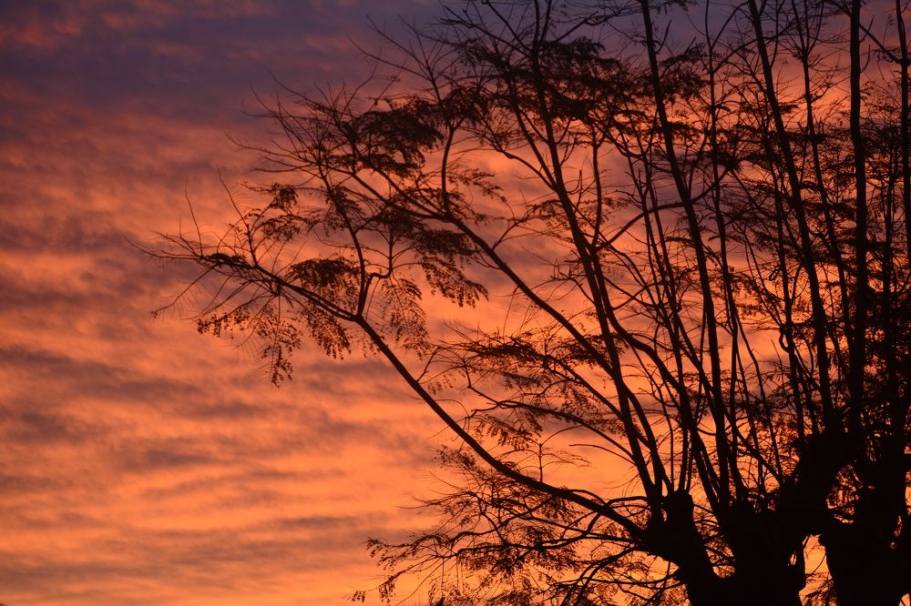 Photograph by Lourdes Cajigal