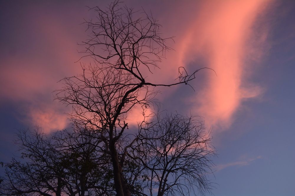 Photograph by Lourdes Cajigal