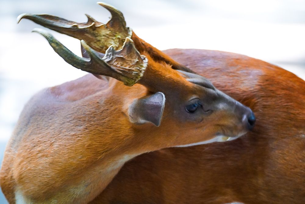 Фотография автора Tri Arya Dhyana K.