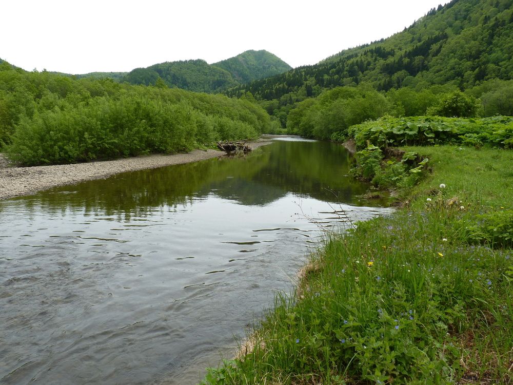 Photograph by Михаил Федюнин