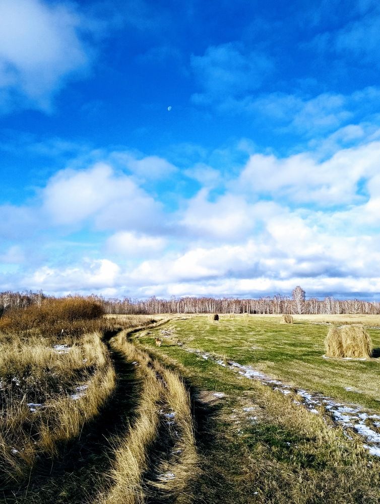 Photograph by Сергей Морозов