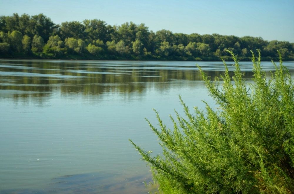 Фотография автора Евгения Зайцева