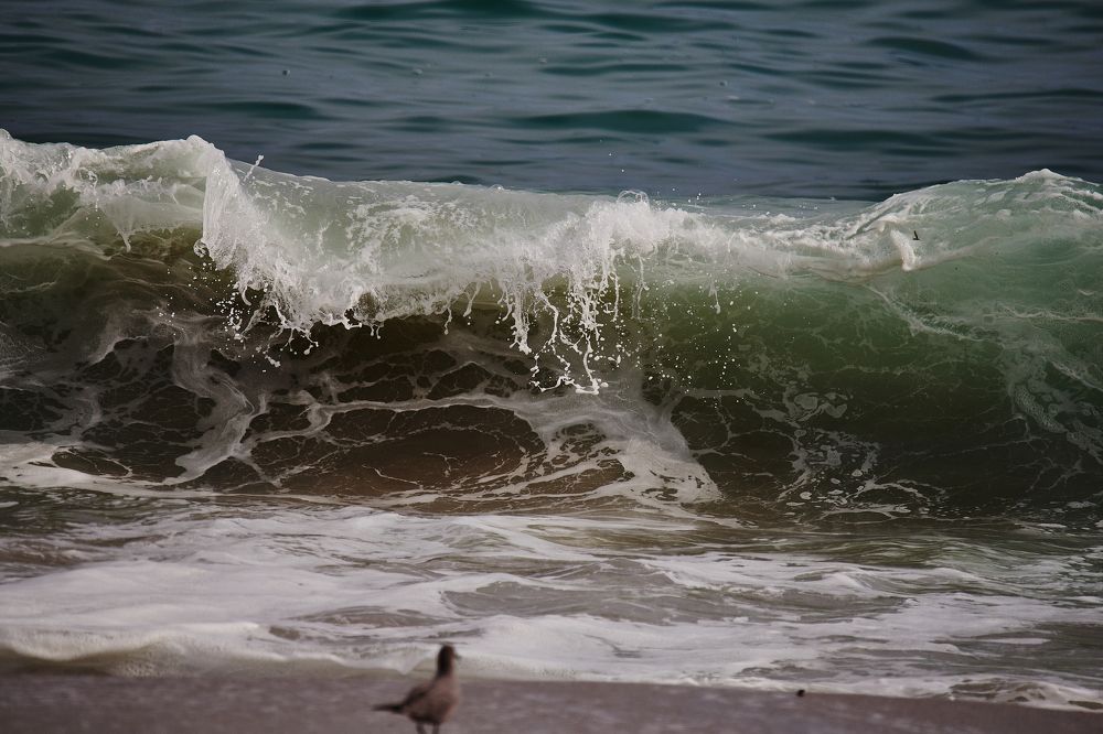 Фотография автора Mino Swayne