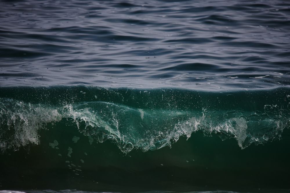 Фотография автора Mino Swayne