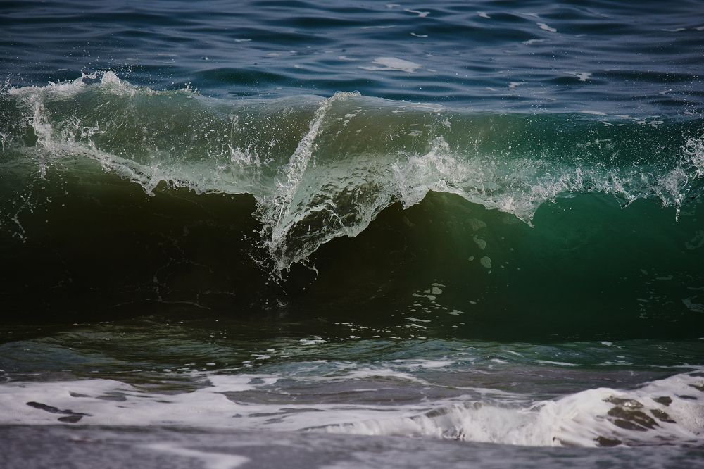 Фотография автора Mino Swayne