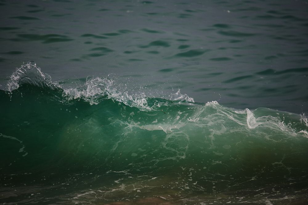 Фотография автора Mino Swayne