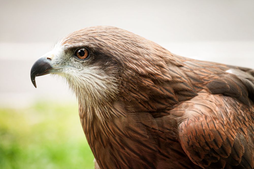 Photograph by Кирилл Богомазов