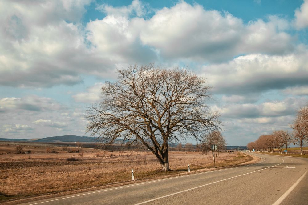 Photograph by EKATERINA WALTER