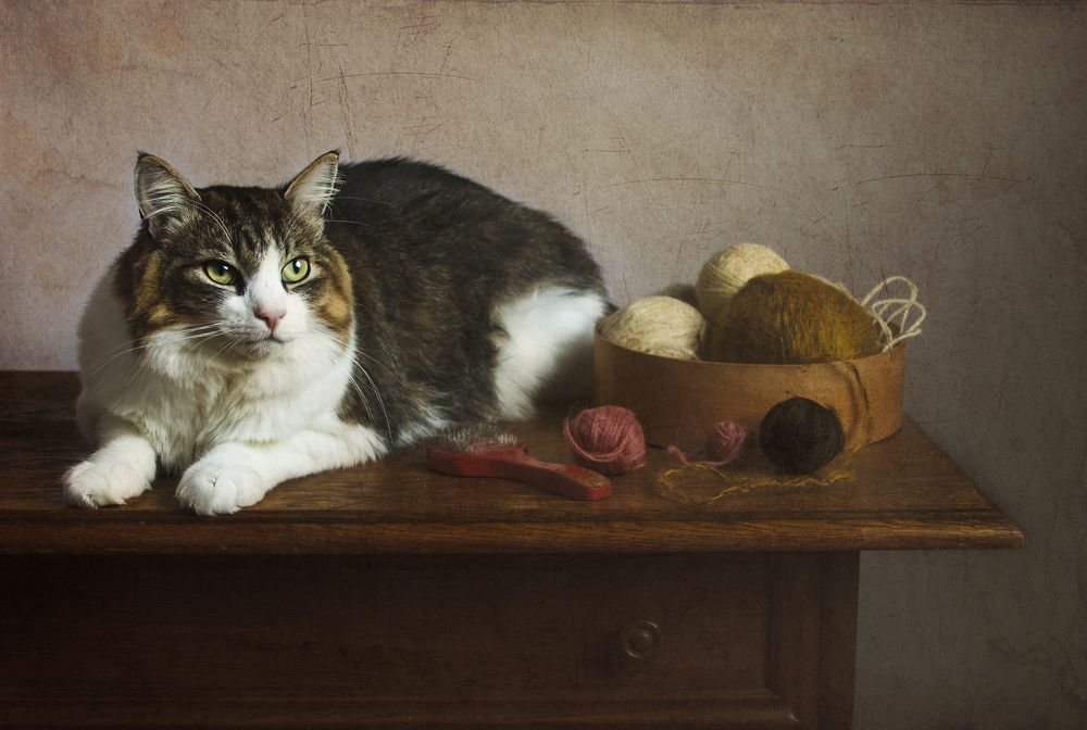 Photograph by Aleksandr