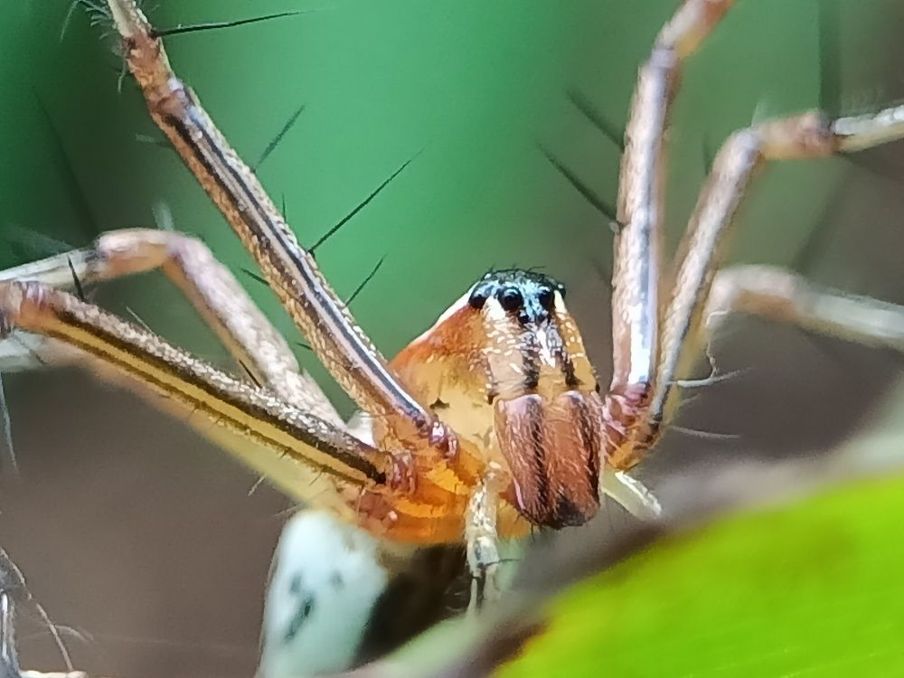 Photograph by B.Dhana sekaran