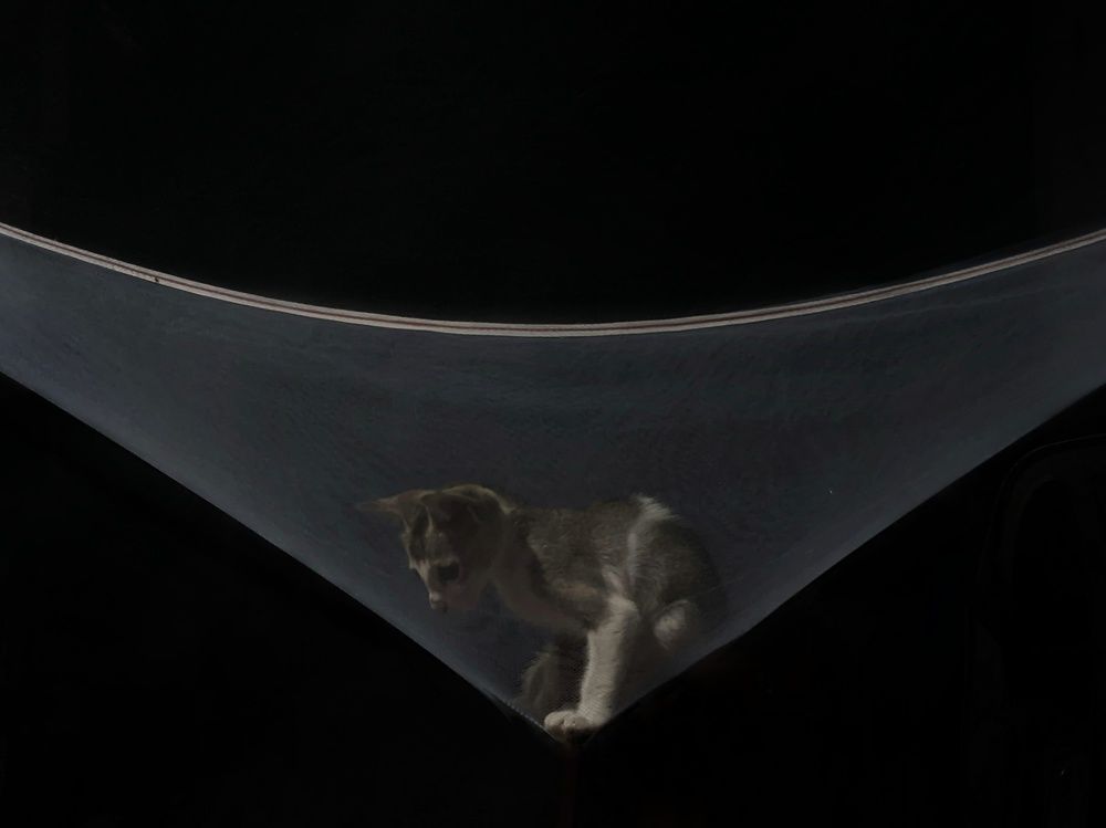 Photograph by Faiyal Ahmed